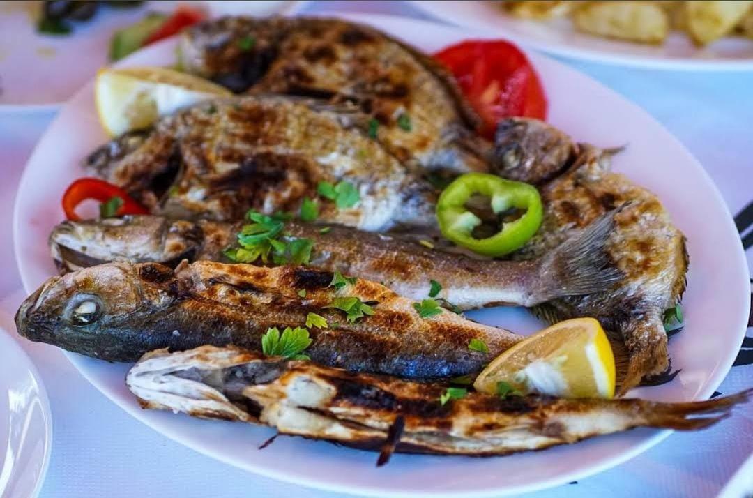 Hotel Restorant Olti Shetaj 外观 照片